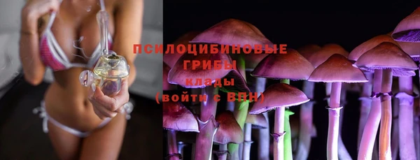 мескалин Алексин