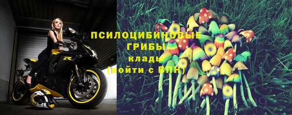 мескалин Алексин