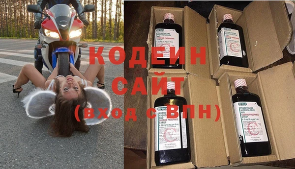 индика Нязепетровск