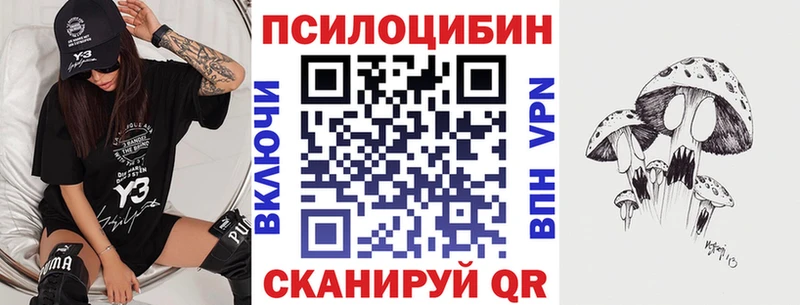 купить цена Неман Галлюциногенные грибы Psilocybe